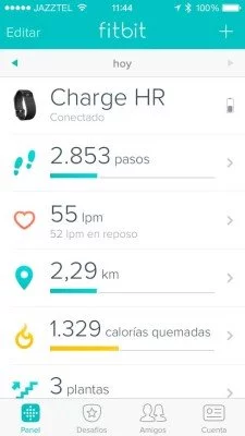 Fitbit Charge HR - Main application screen