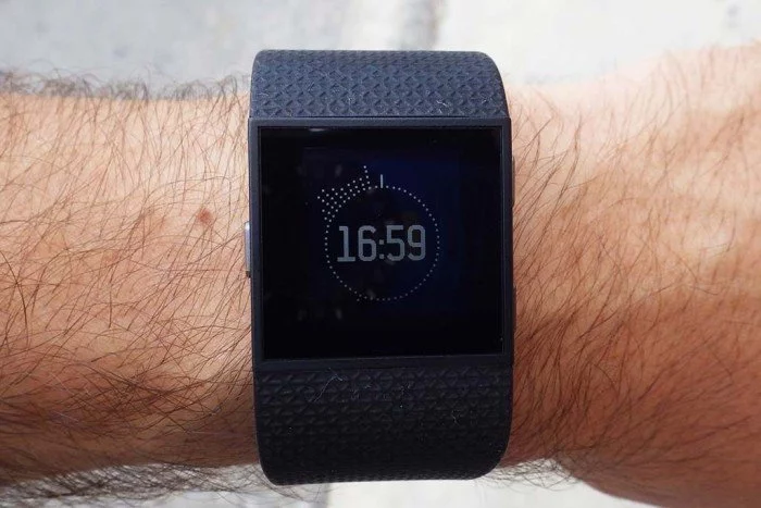 Fitbit Surge - Flare