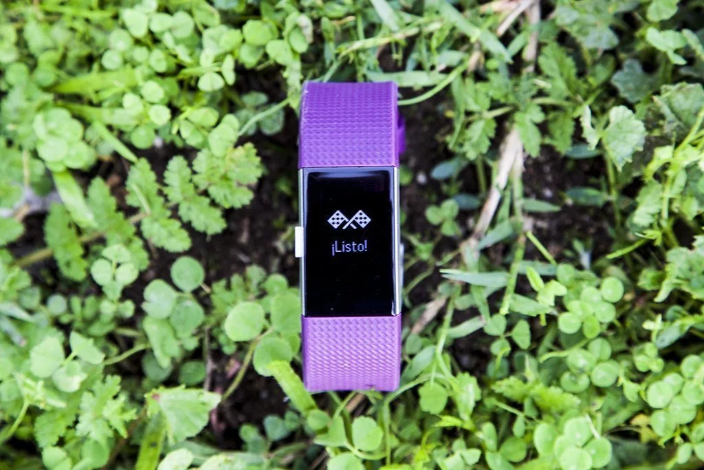 Fitbit Charge 2, activity wristband with optical pulse sensor | Full analysis 1