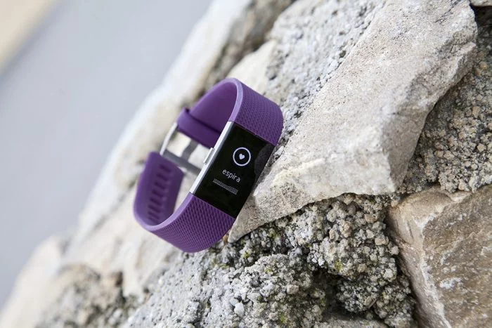 Fitbit Charge 2 - Respira