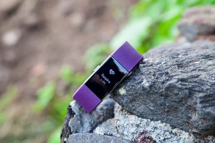 Fitbit Charge 2 - Breathing