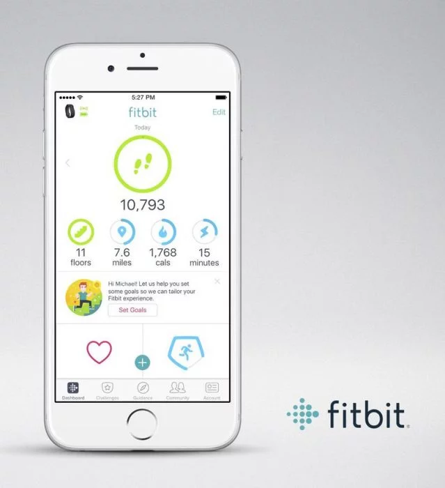 Fitbit personal objectives