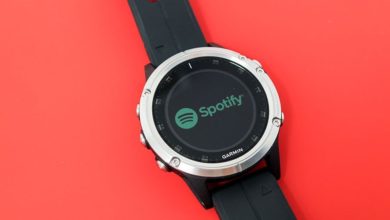 Garmin Spotify