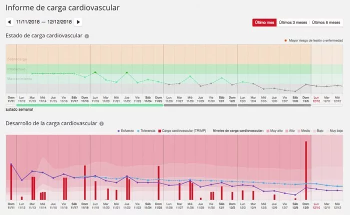 Informe Training Load Pro