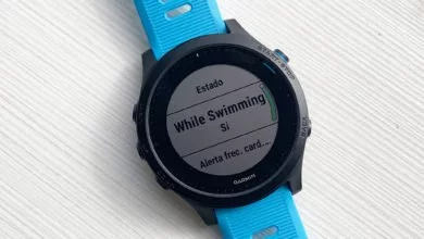 Heart rate in beta swimming