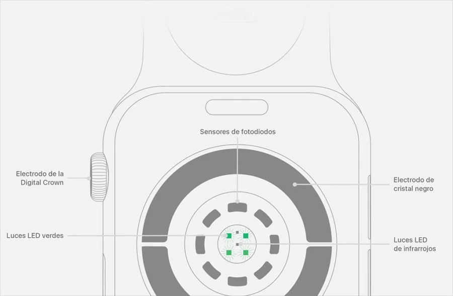 Apple Watch - Sensor de pulso óptico