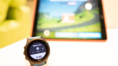 Garmin Virtual Run