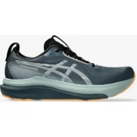 ASICS Gel Kayano 33 Gris