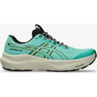 ASICS Gt 2000 14 Verde