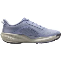 Nike ACG Pegasus Trail Gris