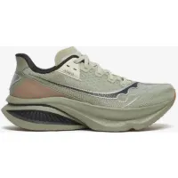 Saucony Endorphin Azura Gris