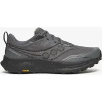 Saucony Peregrine 16 Gris